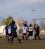 Enlarge photo 58