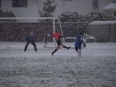 Enlarge photo 38