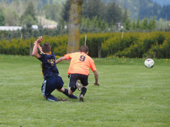 Enlarge photo 33