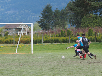 Enlarge photo 45