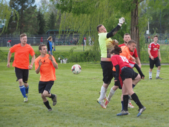 Enlarge photo 64