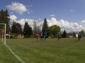 Enlarge photo 126