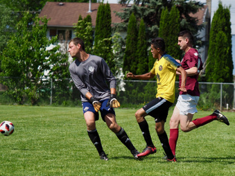 Enlarge photo 65