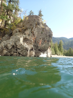 Enlarge photo 81