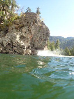 Enlarge photo 85
