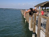 Enlarge photo 18
