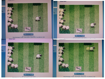 SheepTestLiveView, E-330, E-5