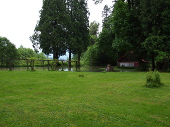 Enlarge photo 14