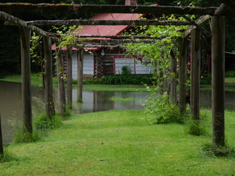 Enlarge photo 16
