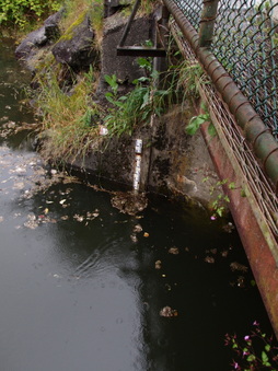 Enlarge photo 19