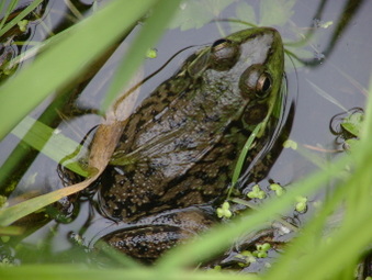 Enlarge photo 1