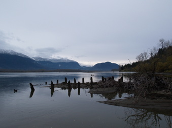 Enlarge photo 17