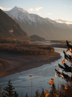 Enlarge photo 25