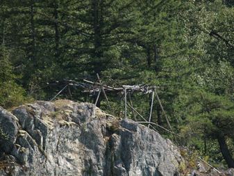 Enlarge photo 30