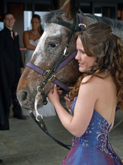 Enlarge photo 51