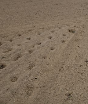 Enlarge photo 104