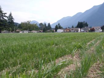 Enlarge photo 109