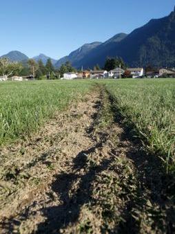 Enlarge photo 116