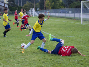 Enlarge photo 37