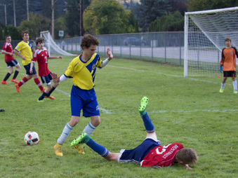 Enlarge photo 38