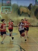 Enlarge photo 17