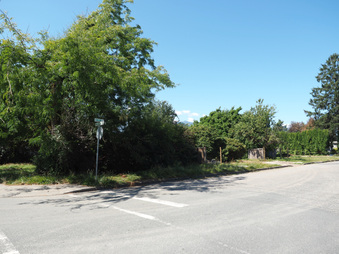 Enlarge photo 30