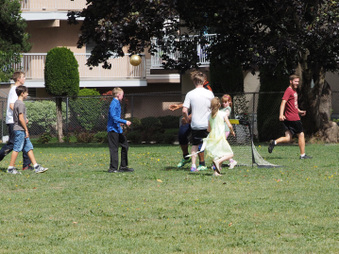 Enlarge photo 210
