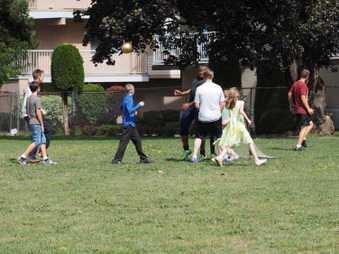 Enlarge photo 211