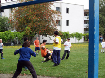 Enlarge photo 35