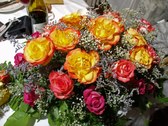 Enlarge photo 113