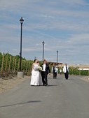 Enlarge photo 75