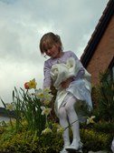 Enlarge photo 56