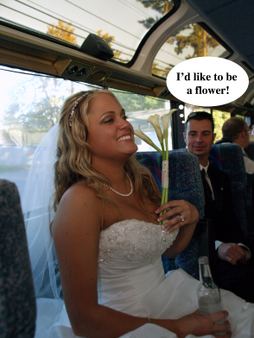 Enlarge photo 89