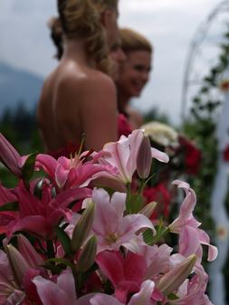 Enlarge photo 58