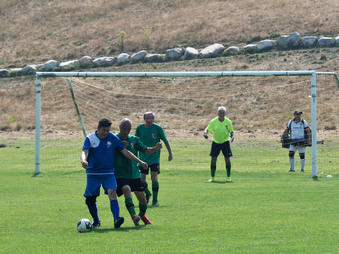 Enlarge photo 85