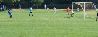 Enlarge photo 134