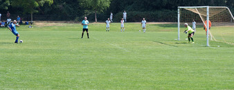 Enlarge photo 146