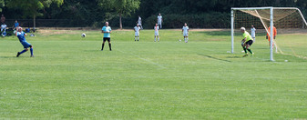 Enlarge photo 148