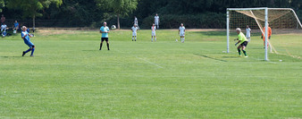 Enlarge photo 149
