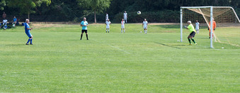 Enlarge photo 151