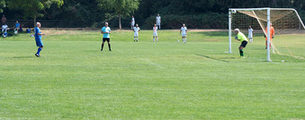 Enlarge photo 153