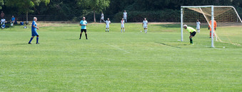 Enlarge photo 156