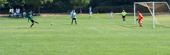 Enlarge photo 160