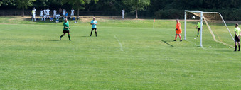 Enlarge photo 184