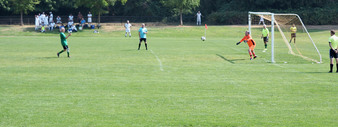 Enlarge photo 195