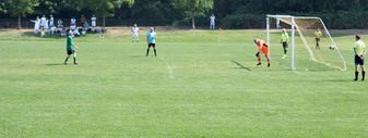 Enlarge photo 198