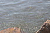 Enlarge photo 48