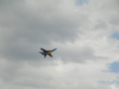 Enlarge photo 34