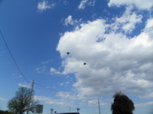 Enlarge photo 37