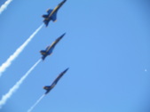 Enlarge photo 41